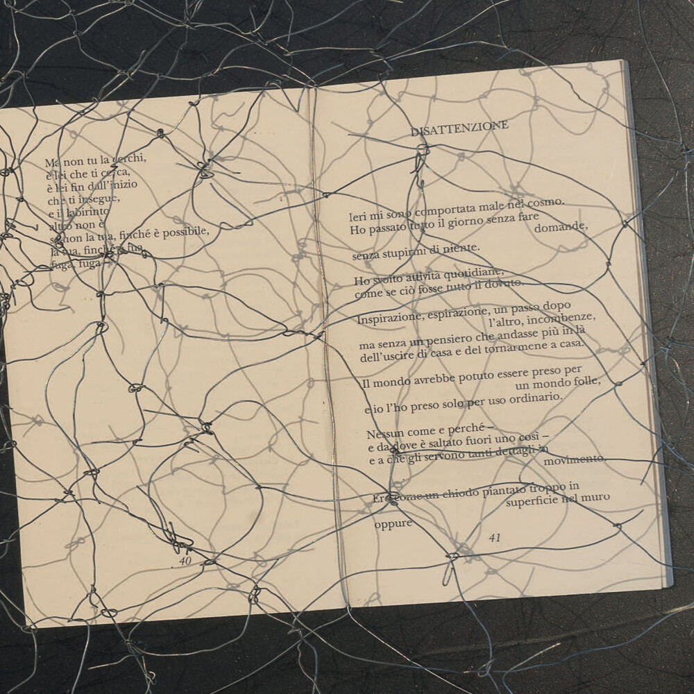 SZYMBORSKA, DUE PUNTI / libro, filo ferro, plexiglass / 30x34x12 ca. cm