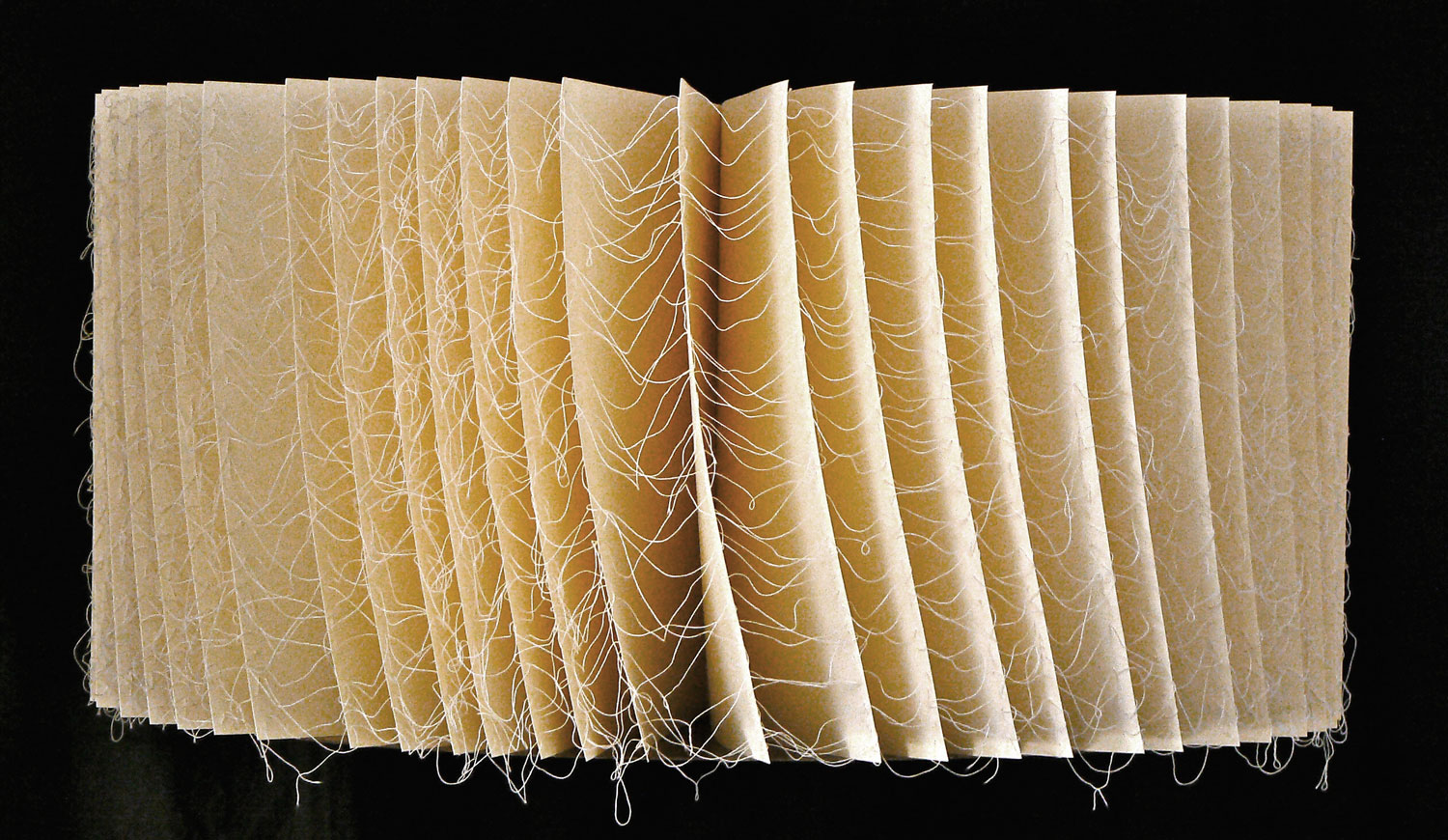 LIBRO MUTO, 2014 / carta, filo / 38x38x5 cm chiuso / 80x35 cm aperto